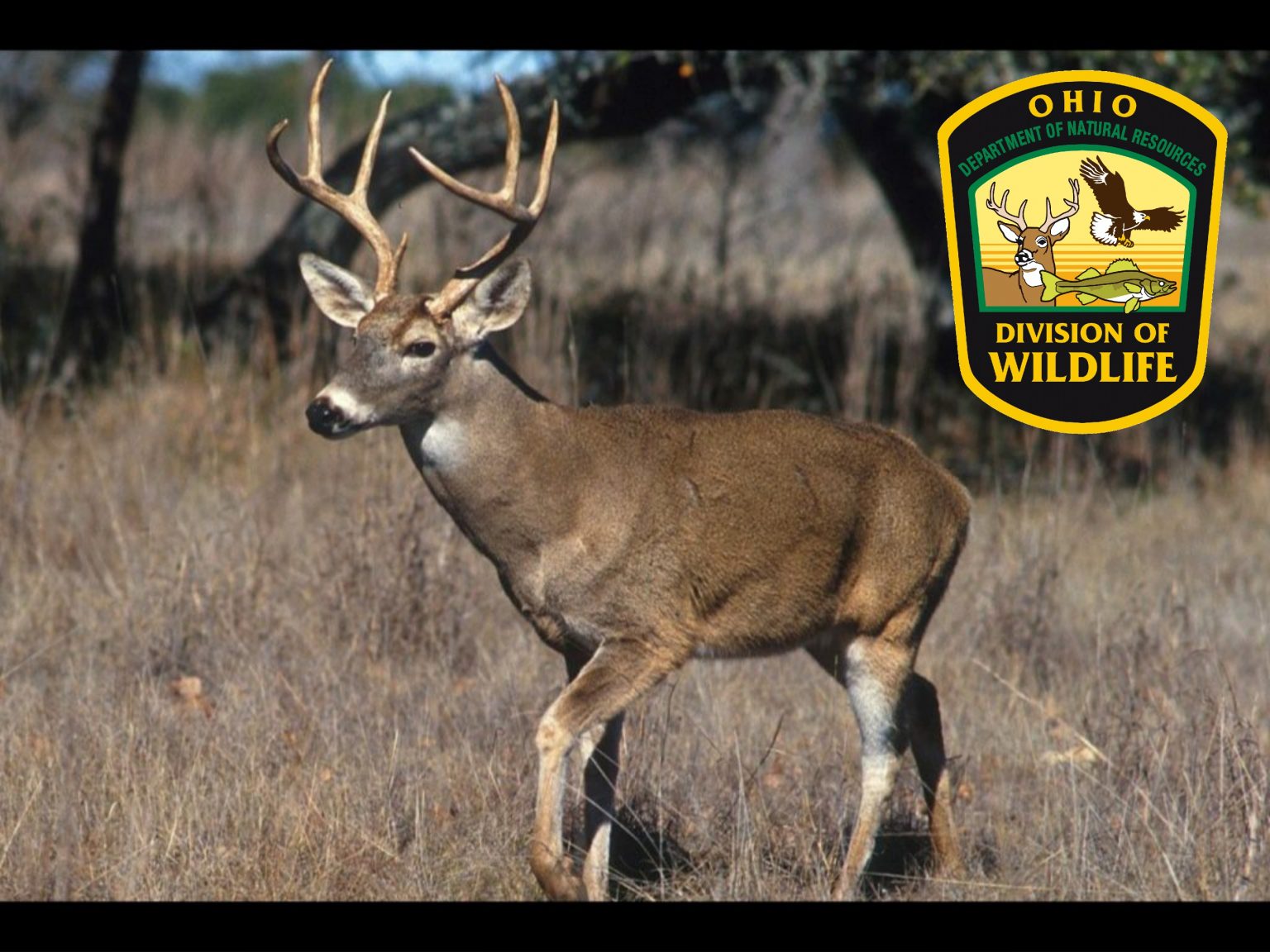 ODNR Apply in July for Ohio’s Controlled Hunting Opportunities