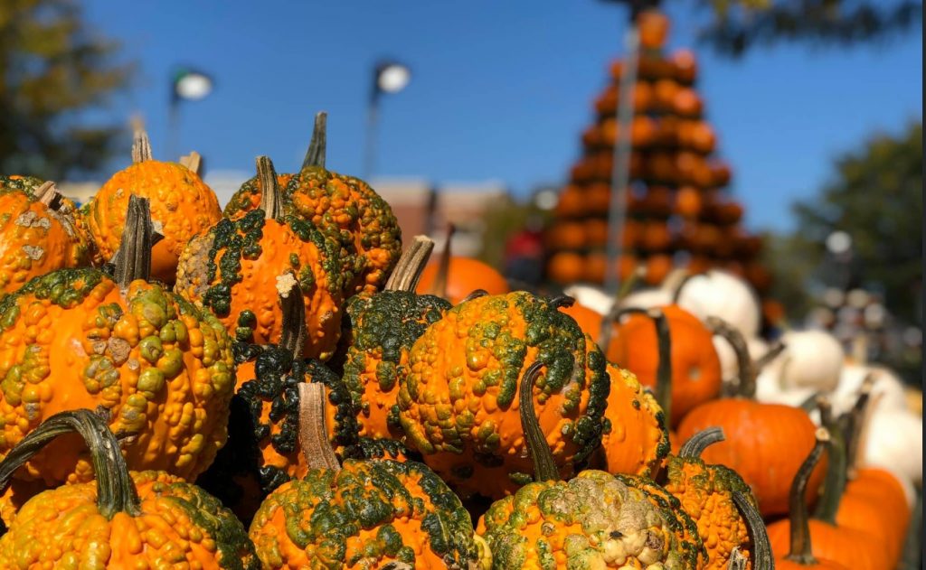 FREE EVENT The 2022 Circleville Pumpkin Show Scioto Post