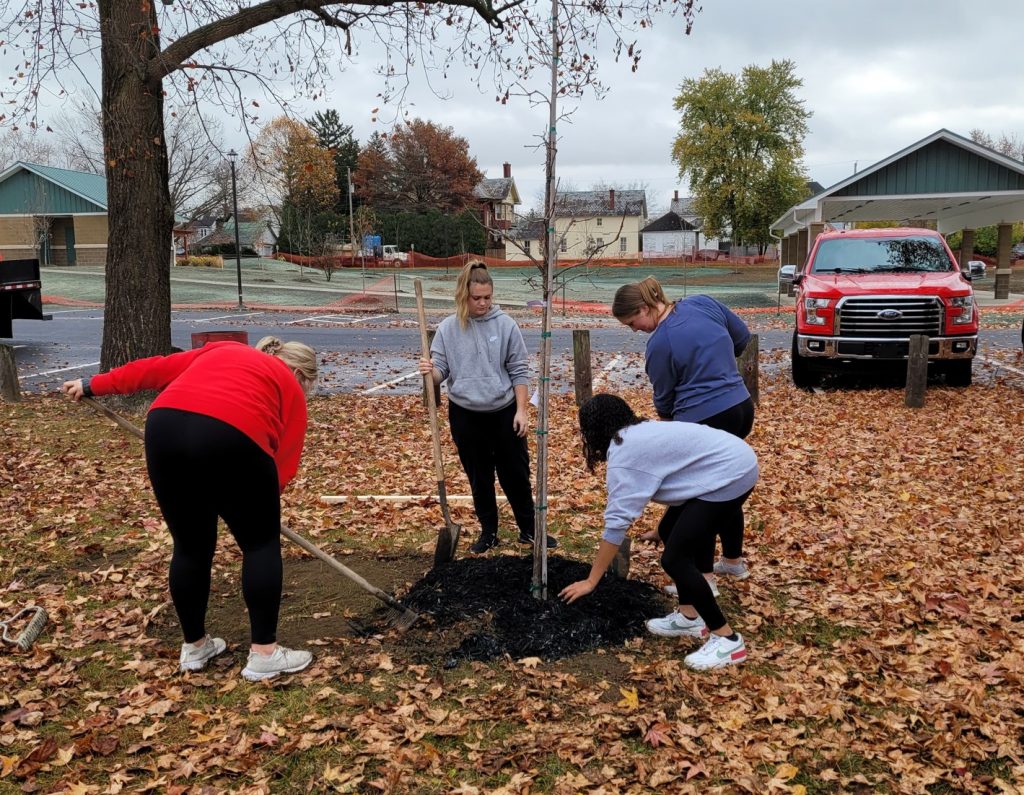Circleville Tree Commission with Help with Circleville Students Plant ...