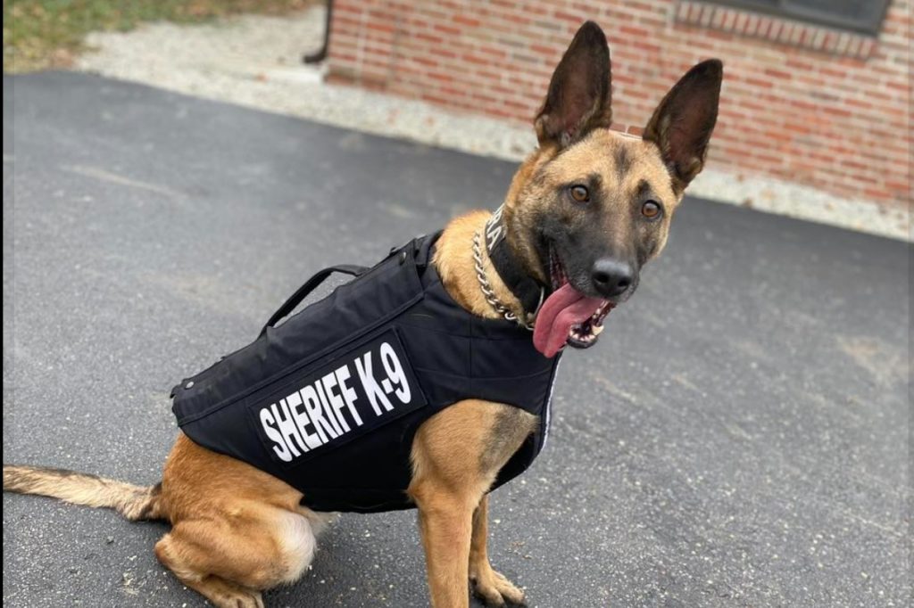 Hocking County Sheriffs Office K9 Receives Body Armor Scioto Post