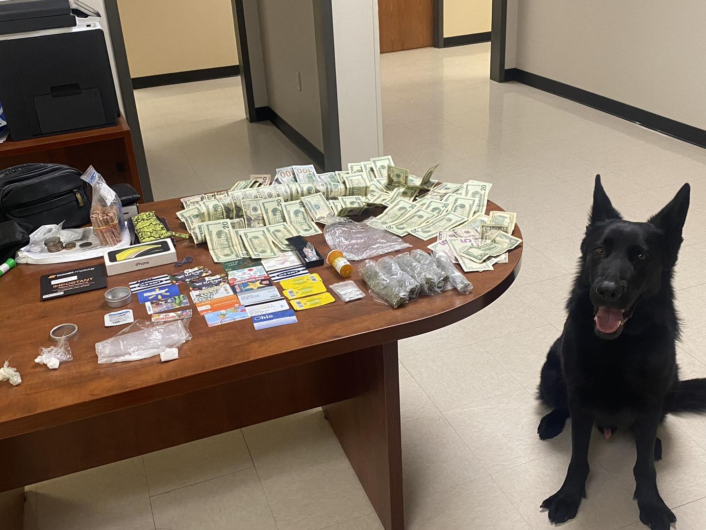 Fayette County Traffic Stop Ends in Drug Bust after K9 Search